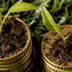 Münzstapel mit Pflänzchen im Gras – steuern kanton aargau nutzen für nachhaltige Investitionen