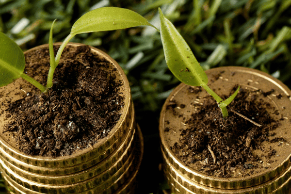 Münzstapel mit Pflänzchen im Gras – steuern kanton aargau nutzen für nachhaltige Investitionen